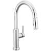 19867LF Nicoli 11.06-in x 10.75-in x 17.06-in Single-Handle Pull-Down Kitchen Faucet, Chrome