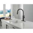 19867LF-GZ Nicoli 11.06-in x 10.75-in x 17.06-in Single-Handle Pull-Down Kitchen Faucet, Matte Black and Champagne Bronze