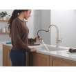 19867LF-SS Nicoli 11.06-in x 10.75-in x 17.06-in Single-Handle Pull-Down Kitchen Faucet, Stainless