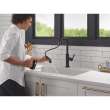 19868LF-GZ Nicoli 11.06-in x 10.75-in x 15.75-in Single-Handle Pull-Down Kitchen Faucet, Matte Black and Champagne Bronze