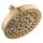 52535-CZ Universal Showering Components 5-Setting Showerhead, Champagne Bronze