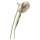 54910-PN-PR-PK Universal Showering Components 7-Setting SureDock Magnetic Hand Shower, Lumicoat Polished Nickel