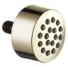 SH5000-PN-PR Other Touch-Clean Spray Head, Lumicoat Polished Nickel