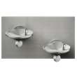 Swirlflo Bi-Level Vandal Resistant Fountain Non-Filtered Non-Refrigerated Freeze Resistant Stainless, EDFPBVM117FPK