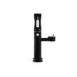 Outdoor Ezh2O Upper Bottle Filling Station Bi-Level Pedestal With Pet Station Non-Filtered Non-Refrigerated Black, LK4420BF1UDBBLK