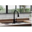 Avado Single Hole Kitchen Faucet With Pull-Down Spray And Forward Only Lever Handle Matte Black, LKAV3031MB