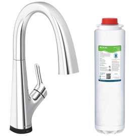 Avado Single Hole 2-In-1 Kitchen Faucet With Filtered Drinking Water Chrome, LKAV7051FCR
