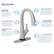 Avado Single Hole 2-In-1 Kitchen Faucet With Filtered Drinking Water Lustrous Steel, LKAV7051FLS