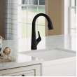 Avado Single Hole 2-In-1 Kitchen Faucet With Filtered Drinking Water Matte Black, LKAV7051FMB