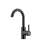 Franke Eos Neo 11.25-Inch Single Handle Swivel Spout Bar Faucet In Industrial Black, Eos-Br-Ibk