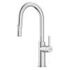 Maris Lario 16.5-In Single Handle Pull-Down Dual-Spray Prep Faucet In Chrome