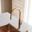 Franke Mythos Masterpiece 18.3-Inch Single Handle Pull-Down Kitchen Faucet In Copper