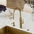 Franke Mythos Masterpiece 18.3-Inch Single Handle Pull-Down Kitchen Faucet In Gold
