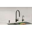 Franke 8.75-In Single Handle Cold Water Filtration Faucet In Industrial Black, Unj-Fw-Ibk