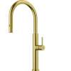 Franke Pescara 2.0 18.3-Inch Single Handle Pull-Down Spray Faucet In Gold