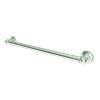 24in Grab Bar in Polished Nickel