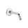 27414000 Relexa Neutral 5-5/8-in Shower Arm in Chrome