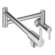 31075DC2 Ladylux Wall Mount Pot Filler in Supersteel Infinity Finish