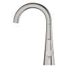 30026DC2 Ladylux 1.75 GPM Pillar Tap with Filter Function in Supersteel Infinity Finish
