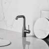 Essence 23486A0A Large Size Single-Handle Bathroom Faucet in Hard Graphite