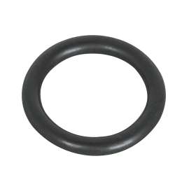 O-Ring, 01224000