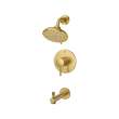 Essence Pressure Balance Valve Tub/Shower Trim Kit, 102496GN00
