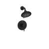 Essence Pressure Balance Valve Shower Trim Kit, 1025202430