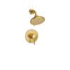 Essence Pressure Balance Valve Shower Trim Kit, 102520GN00