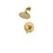Essence Pressure Balance Valve Shower Trim Kit, 102520GN00