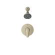 Eurosmart Pressure Balance Valve Shower Trim Kit, 102521EN00