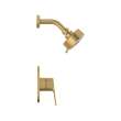 Cubeo Pressure Balance Valve Shower Trim Kit, 105377GN00