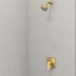 Cubeo Pressure Balance Valve Shower Trim Kit, 105377GN00