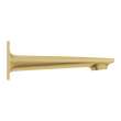 Allure Tub Spout, 13265GN1