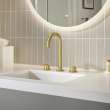 8-inch Widespread 2-Handle L-Size Bathroom Faucet, 1.2 GPM (4.5 L/min), 20217GNA