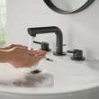 8-inch Widespread 2-Handle S-Size Bathroom Faucet, 1.2 GPM (4.5 L/min), 205722431