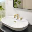 8-inch Widespread 2-Handle M-Size Bathroom Faucet, 1.2 GPM (4.5 L/min), 20578GNA