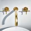 Atrio 2-Handle Wall Mount Faucet without Handles, 1.2 GPM (4.5L.min), 20663GN0