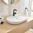 Single Hole Single-Handle M-Size Bathroom Faucet, 1.2 GPM (4.5 L/min), 234852431