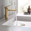 Single Hole Single-Handle S-Size Bathroom Faucet, 1.2 GPM (4.5 L/min), 23794GNA