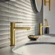 Single Hole Single-Handle S-Size Bathroom Faucet, 1.2 GPM (4.5 L/min), 23794GNA