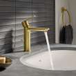 Single Hole Single-Handle S-Size Bathroom Faucet, 1.2 GPM (4.5 L/min), 23794GNA