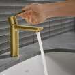 Single Hole Single-Handle S-Size Bathroom Faucet, 1.2 GPM (4.5 L/min), 23794GNA