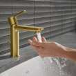 Single Hole Single-Handle S-Size Bathroom Faucet, 1.2 GPM (4.5 L/min), 23794GNA