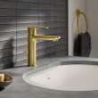 Single Hole Single-Handle S-Size Bathroom Faucet, 1.2 GPM (4.5 L/min), 23794GNA