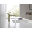 Single Hole Single-Handle XS-Size Bathroom Faucet, 1.2 GPM (4.5 L/min), 23824GNA