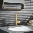Single Hole Single-Handle L-Size Bathroom Faucet, 1.2 GPM (4.5 L/min), 23825GNA
