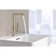 Single Hole Single-Handle L-Size Bathroom Faucet, 1.2 GPM (4.5 L/min), 23825GNA