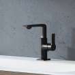 Allure Single-Hole Single-Handle M-Size Bathroom Faucet, 1.2 GPM (4.5 L/min), 238572431