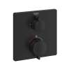 Single Function 2-Handle Thermostatic Valve Trim, 241102430