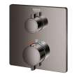 Single Function 2-Handle Thermostatic Valve Trim, 24110A00